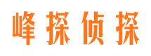 朝阳区市私家侦探